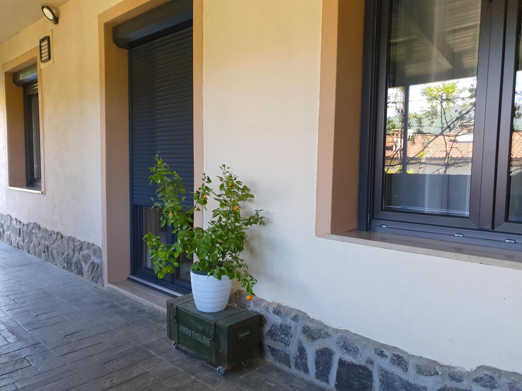 Apartment With Terrace Nona Pavla トールミン エクステリア 写真
