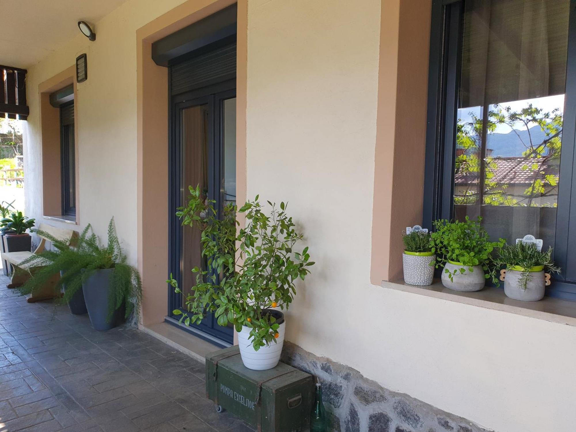 Apartment With Terrace Nona Pavla トールミン エクステリア 写真